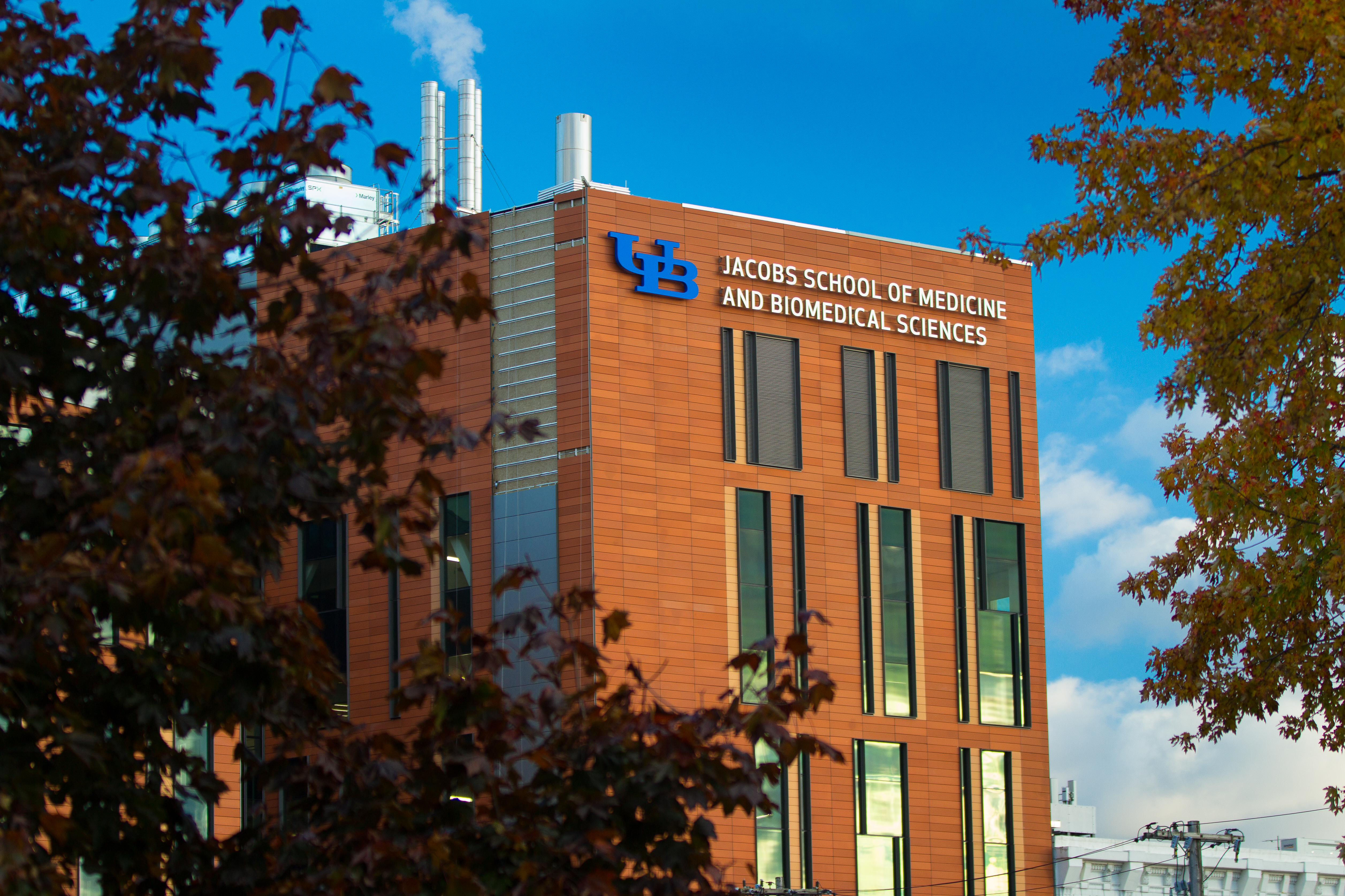 Jacobs School of Medicine and Biomedical Sciences